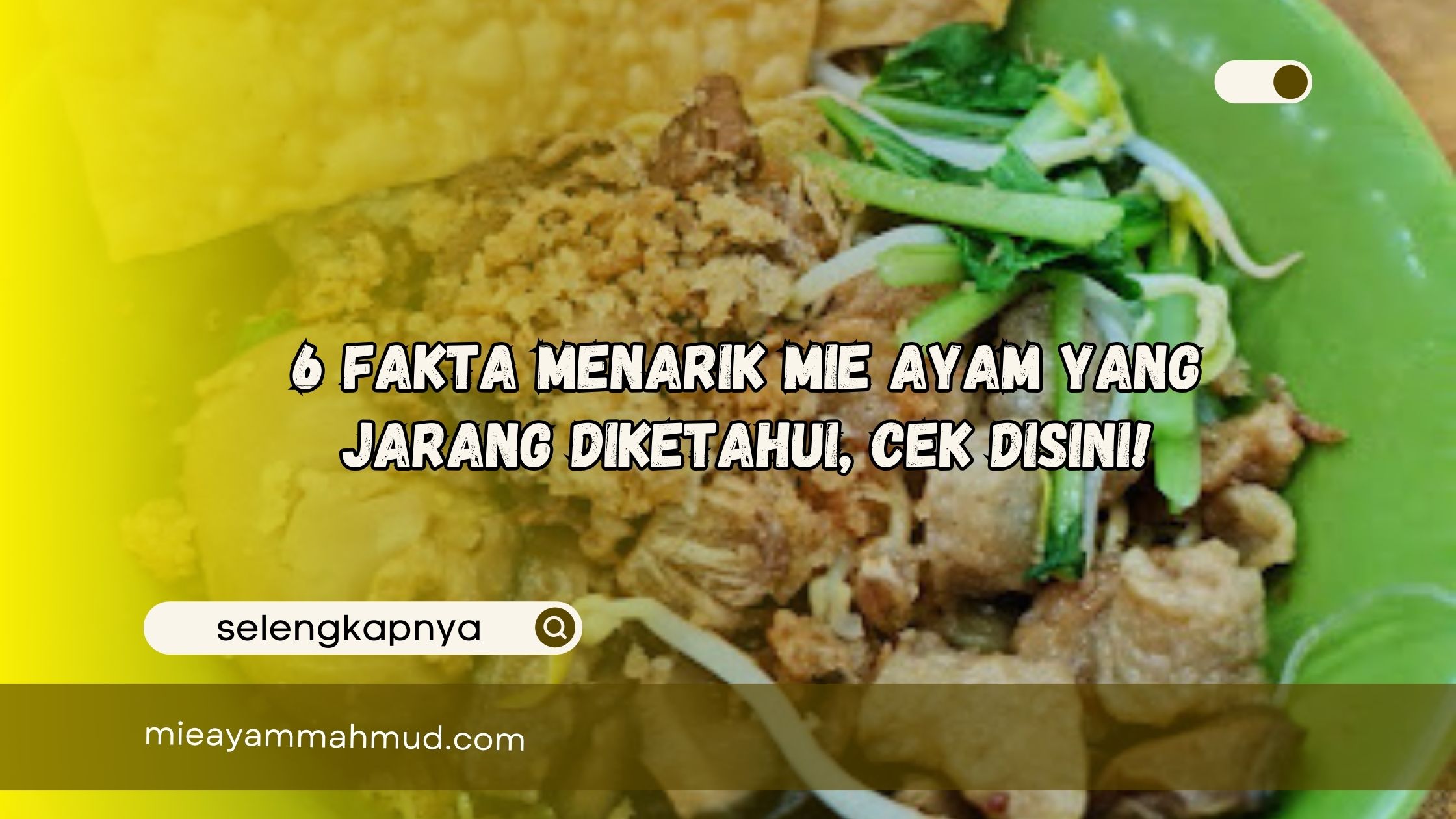 Mie Ayam Tengger: Rasa yang Mengingatkan pada Kenangan Lamanya